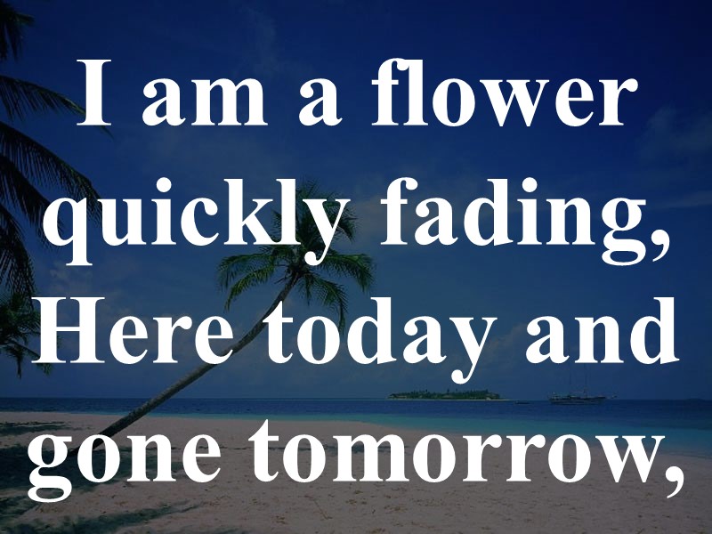 I am a flower quickly fading, Here today and gone tomorrow,
